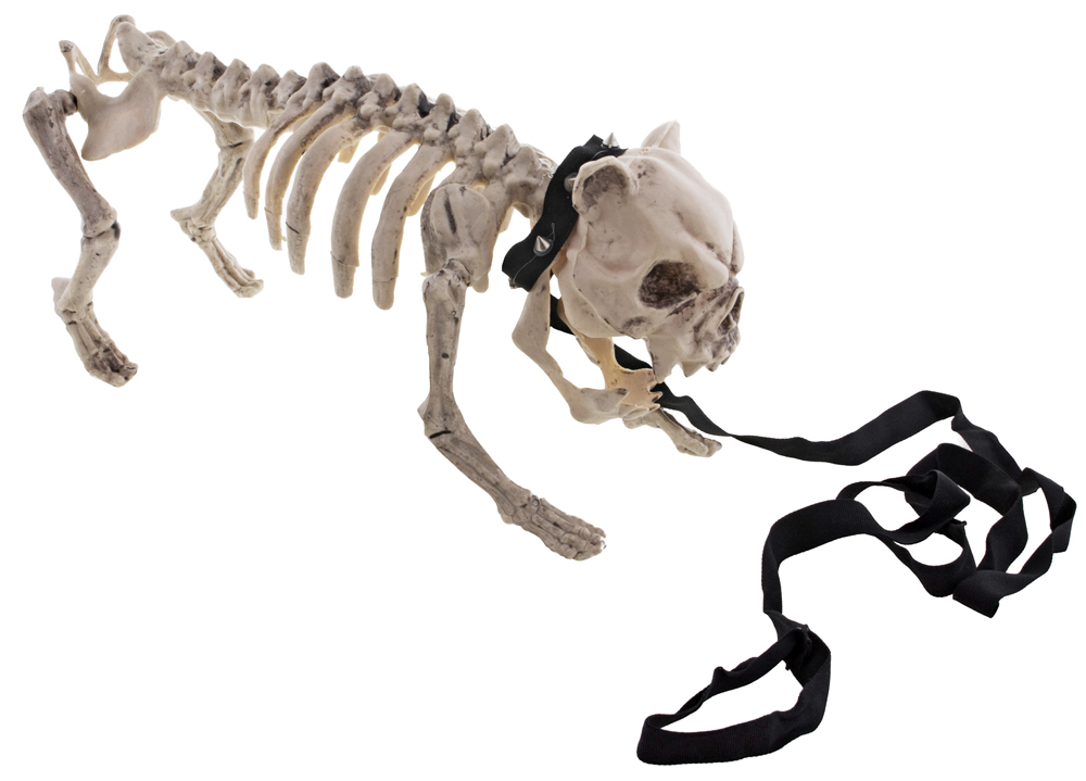 Gruseliger Skelett Hund mit Leine Halloween Dekoration Das Kostümland